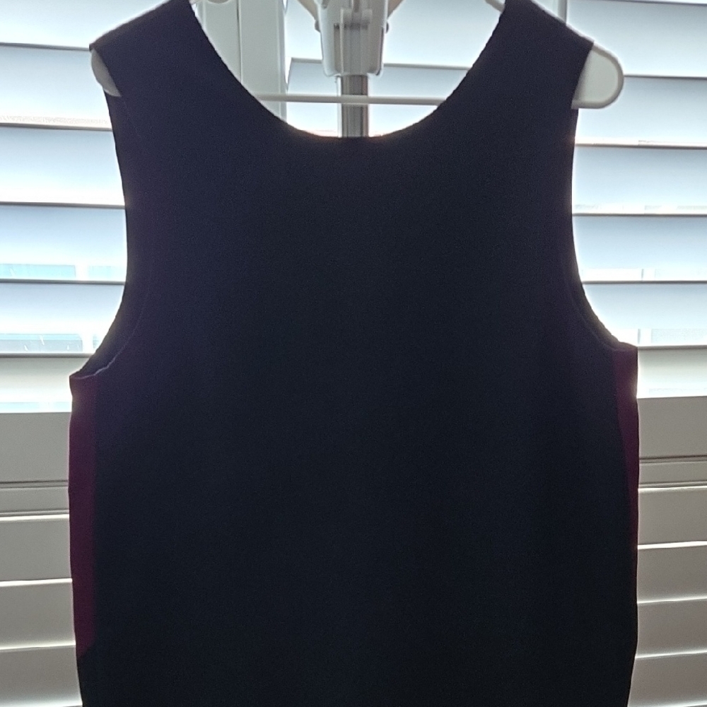 Sleeveless Blue Dress